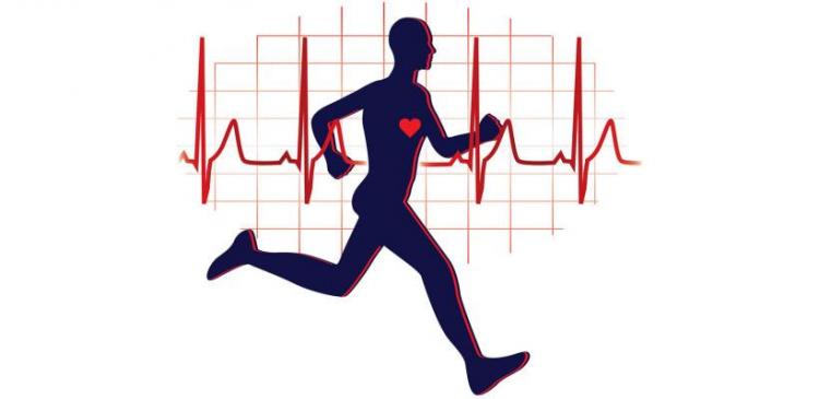 5 Great Benefits Of Cardiovascular Exercise!